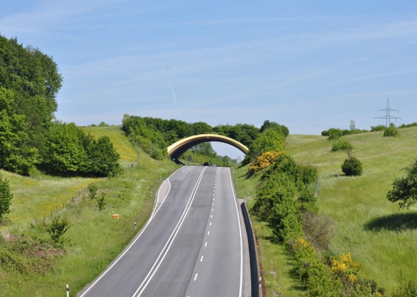 Pedestrian bridges for animals Pedestrian bridges for animals