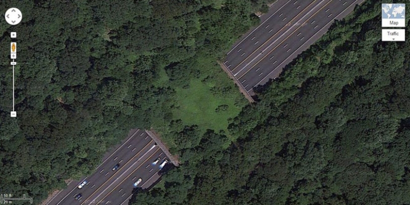 Pedestrian bridges for animals Pedestrian bridges for animals