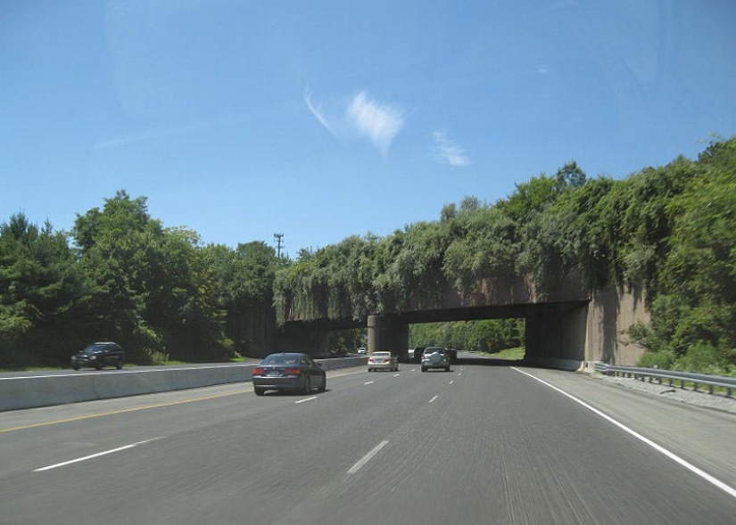 Pedestrian bridges for animals Pedestrian bridges for animals