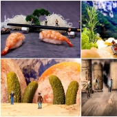 People in the edible universe People in the edible universe