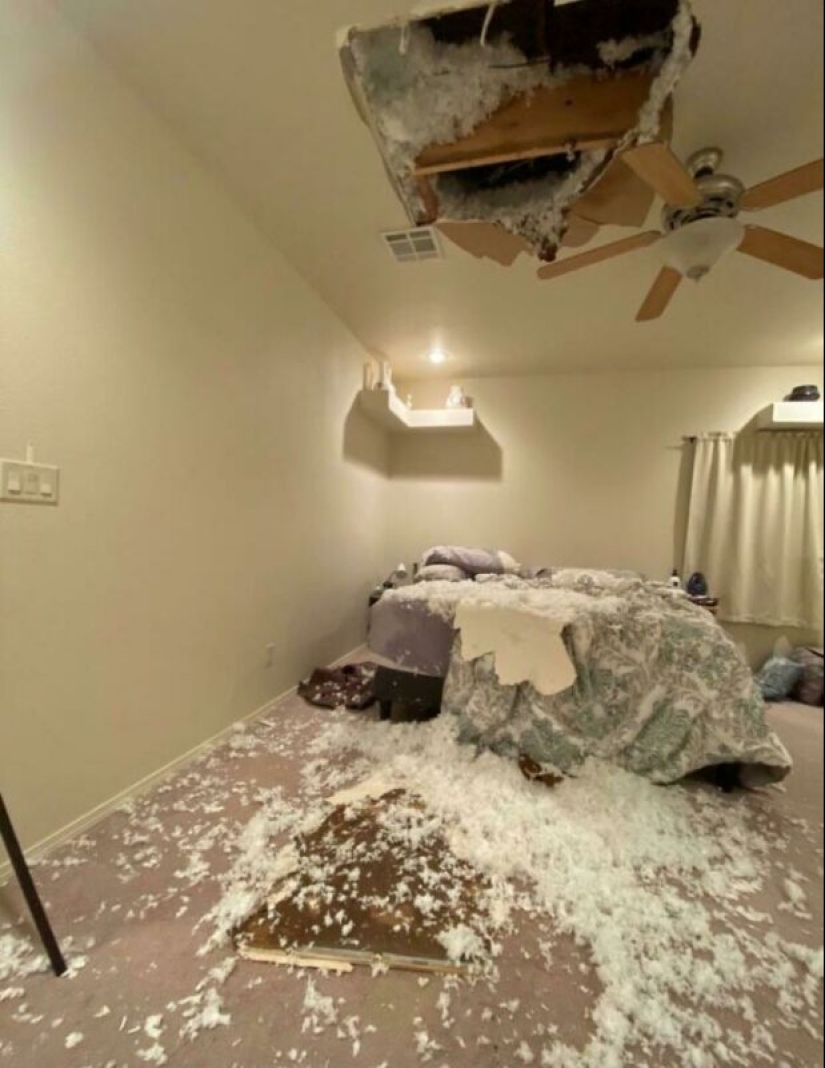 People showed their bad day. And they are really sorry