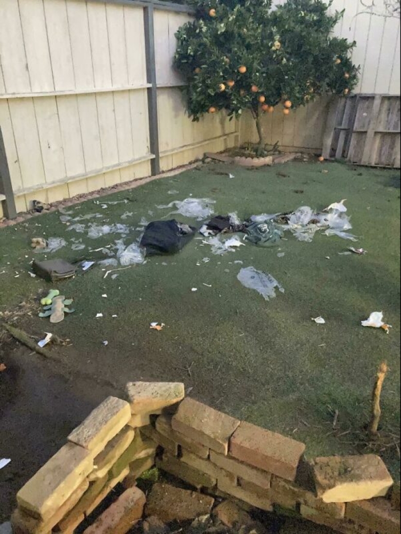 People showed their bad day. And they are really sorry