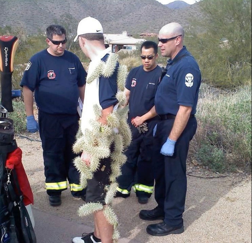 People showed their bad day. And they are really sorry