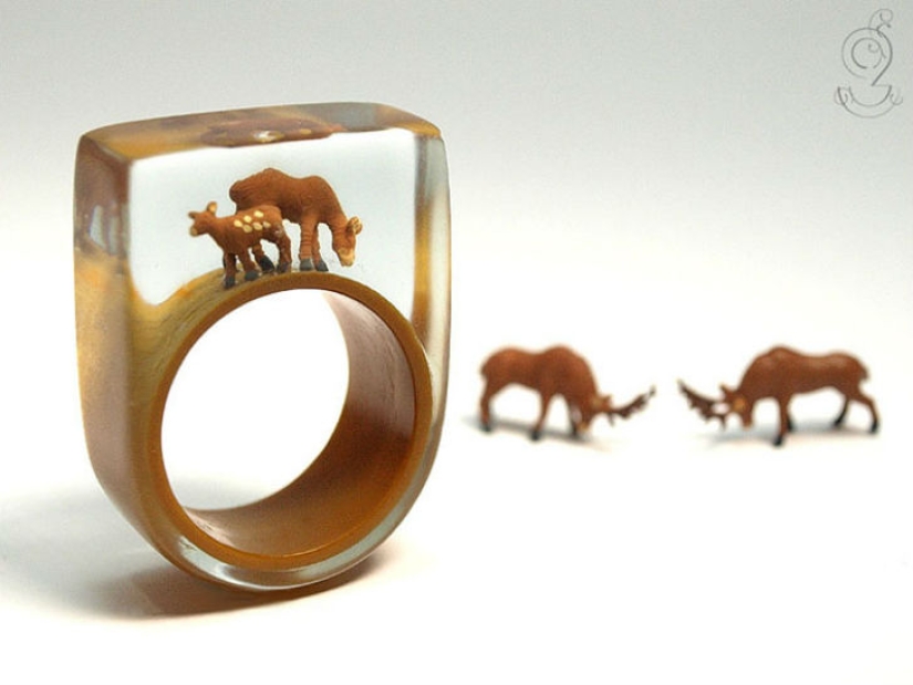 Pequeñas historias de la vida dentro del anillo