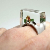 Pequeñas historias de la vida dentro del anillo