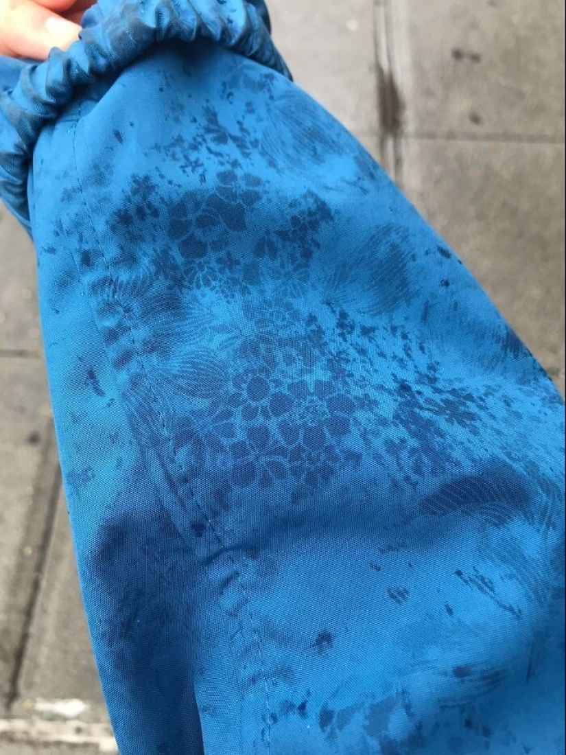 Pequeñas obras maestras: 40 ejemplos de ideas de diseño brillantes Pequeñas obras maestras: 40 ejemplos de ideas de diseño brillantes