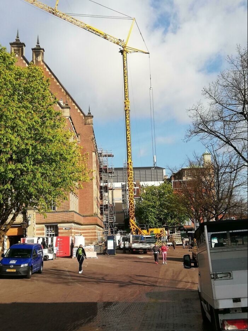 Pequeñas obras maestras: 40 ejemplos de ideas de diseño brillantes Pequeñas obras maestras: 40 ejemplos de ideas de diseño brillantes