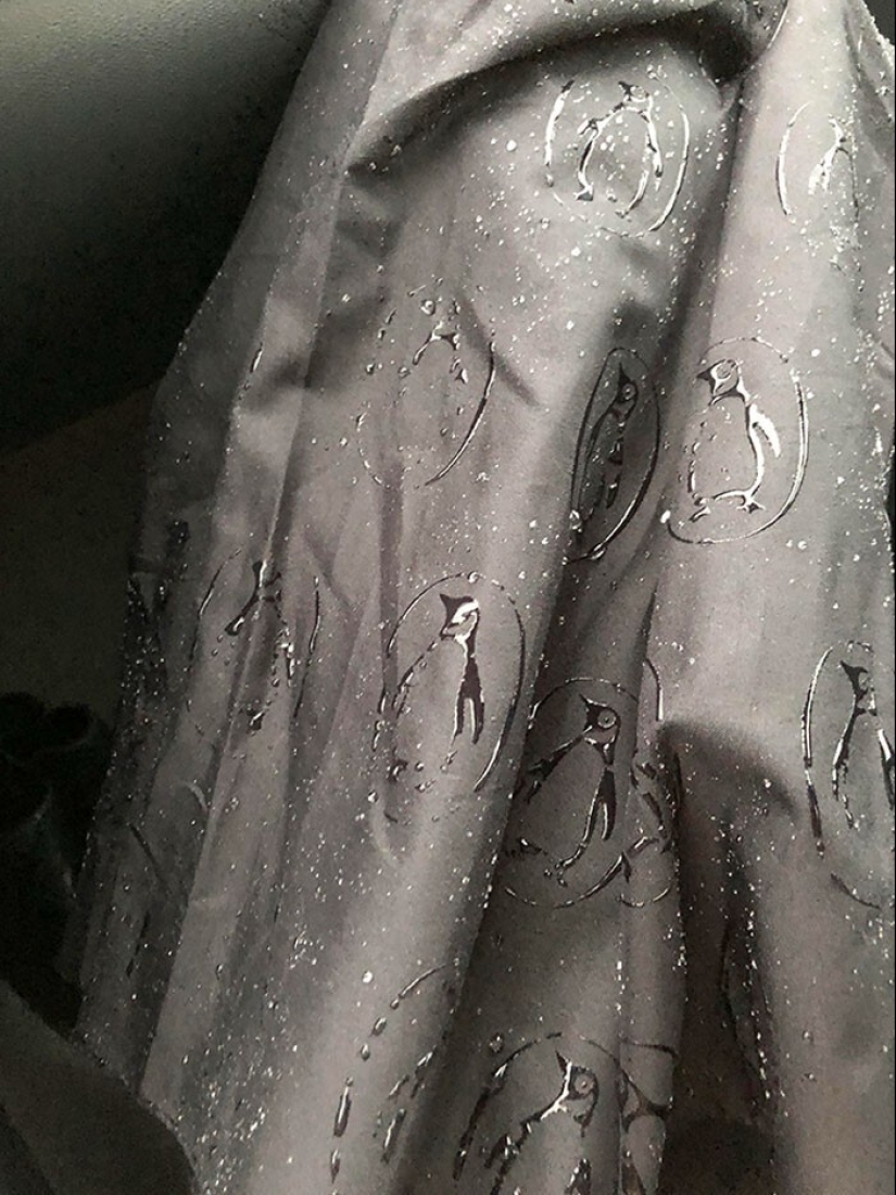 Pequeñas obras maestras: 40 ejemplos de ideas de diseño brillantes Pequeñas obras maestras: 40 ejemplos de ideas de diseño brillantes