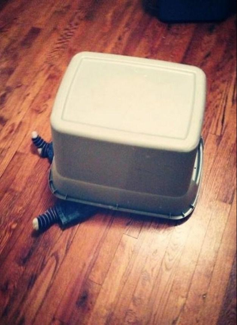 Pequeños campeones del juego de las escondidas