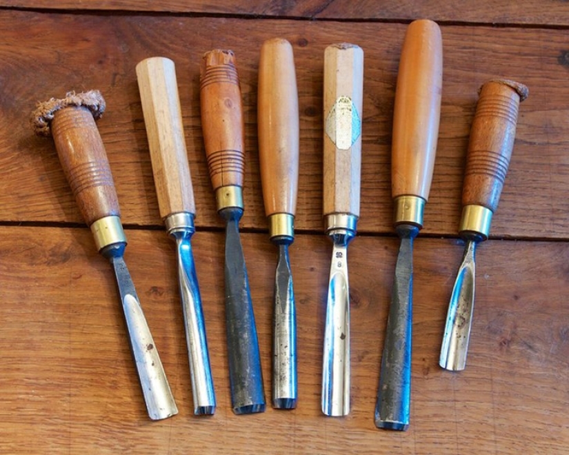 Perfect minimalism: cute animals, striking in its elegance