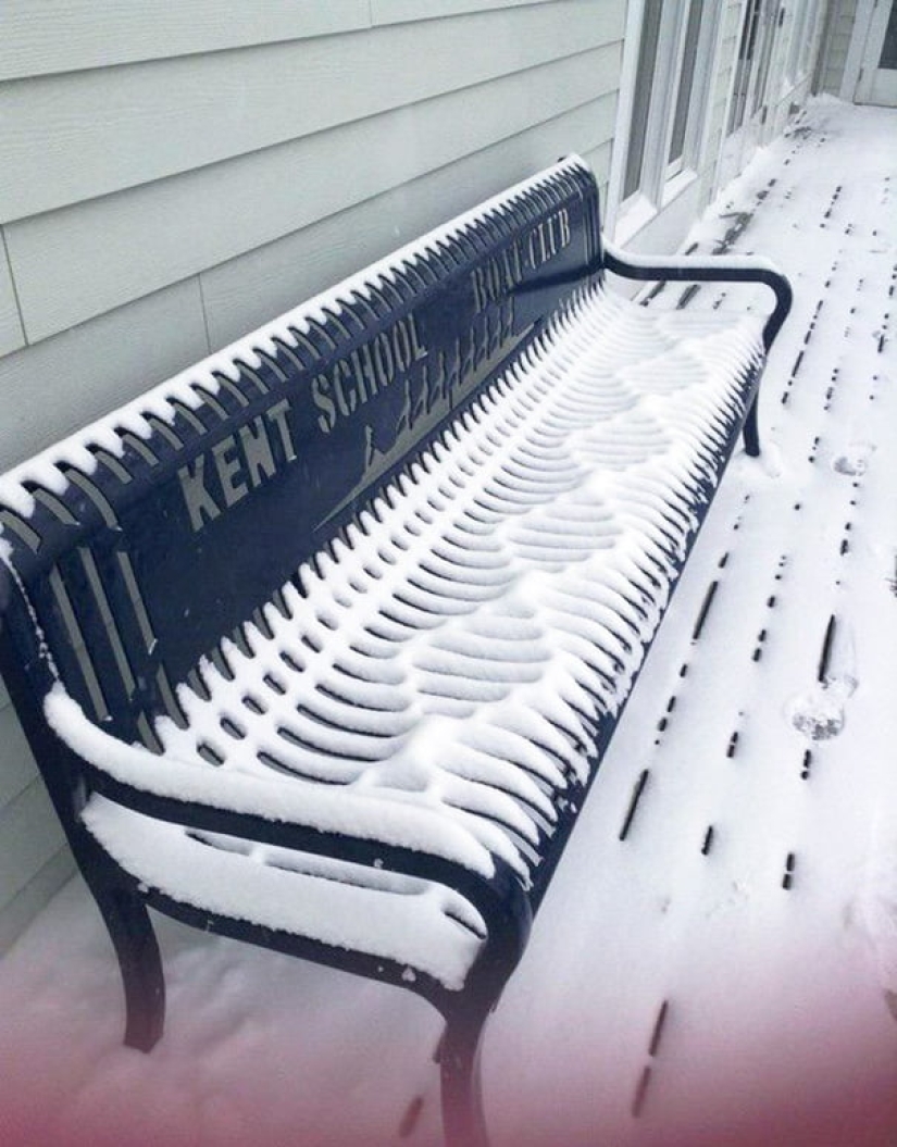 Perfectionists with love: 22 photos where everything is perfect Perfectionists with love: 22 photos where everything is perfect