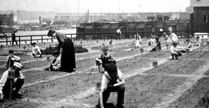 Páginas de la vida de los estadounidenses comunes y pobres en Nueva York del siglo XIX Páginas de la vida de los estadounidenses comunes y pobres en Nueva York del siglo XIX