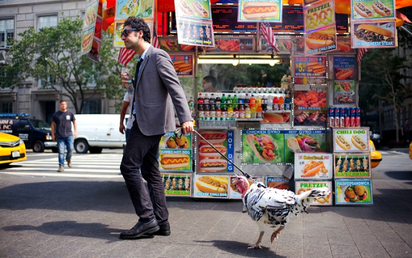 Photographer documents the beauty of new York
