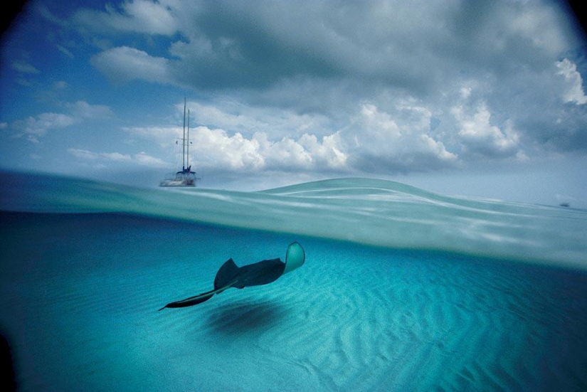 Photographs by David Dubile: the world on the surface and under water