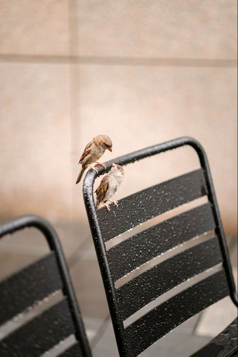 Photojournalist André Proves That Simplicity Can Be Truly Powerful