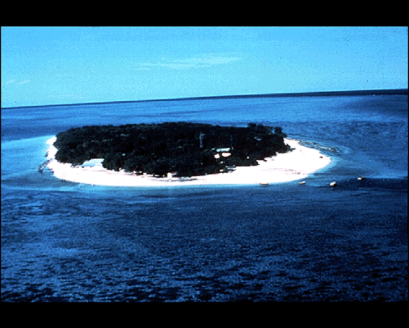 Photos from Earth that aliens must definitely see