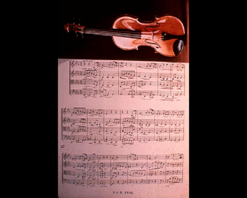 Photos from Earth that aliens must definitely see