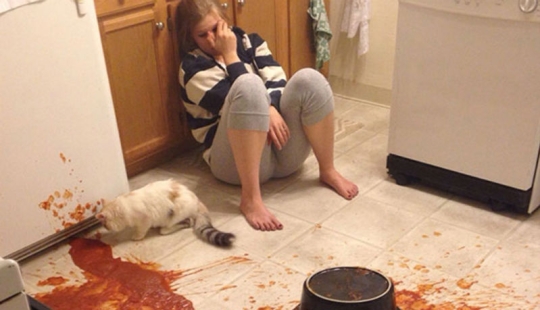 Photos of epic failures that prove: you had a really great Monday Photos of epic failures that prove: you had a really great Monday