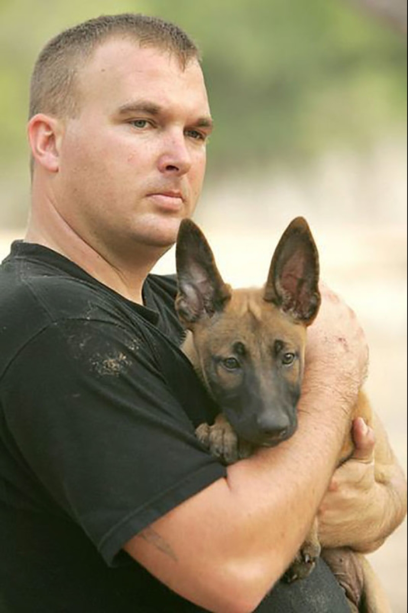 Photos of puppies on their first day on duty