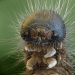 Photos taken with an electron microscope Photos taken with an electron microscope