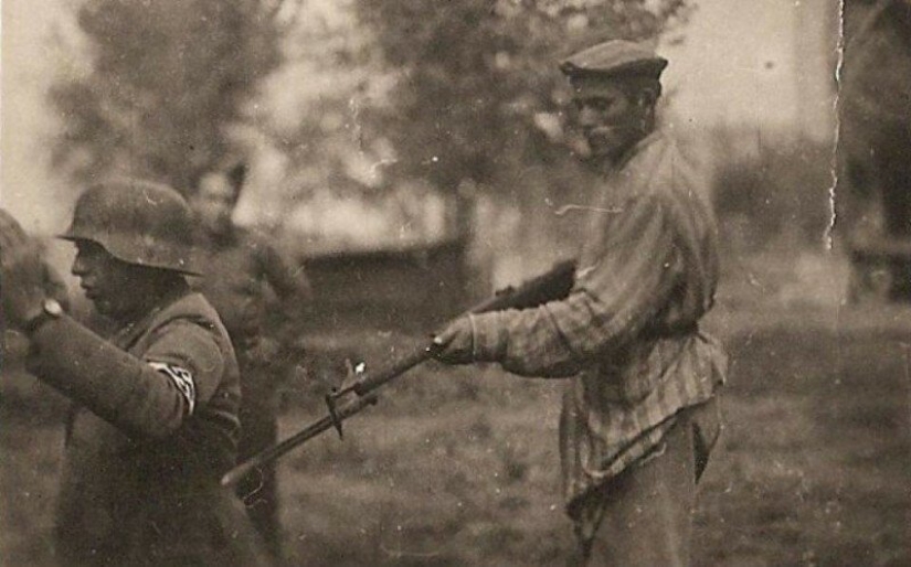 "Piensa cómo morimos": una historia de terror en el campo de concentración de Dachau "Piensa cómo morimos": una historia de terror en el campo de concentración de Dachau