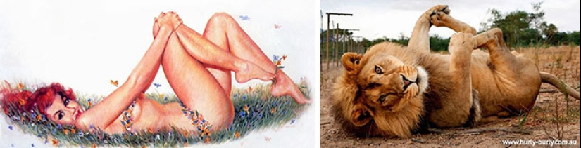 Pin-up Girls vs gatos en la lucha por tu amor