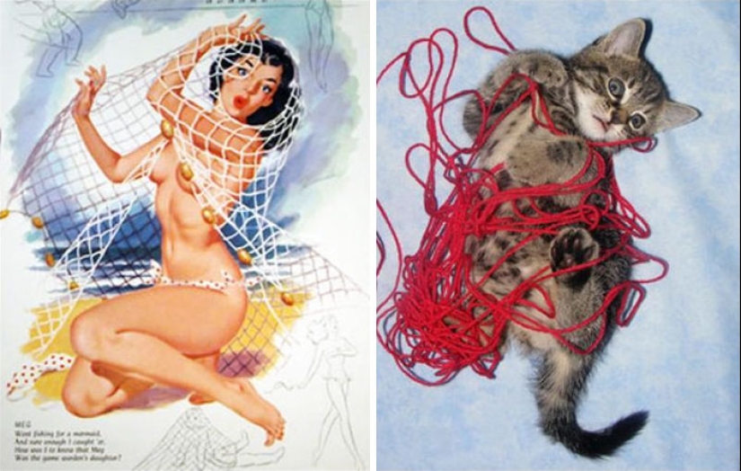 Pin-up Girls vs gatos en la lucha por tu amor
