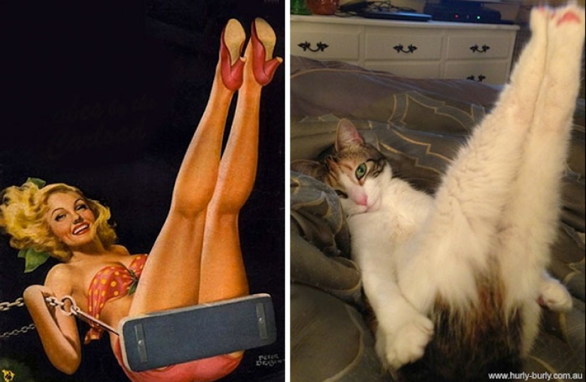 Pin-up Girls vs gatos en la lucha por tu amor