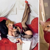 Pin-up Girls vs gatos en la lucha por tu amor