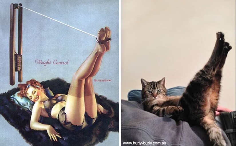 Pin-up Girls vs gatos en la lucha por tu amor