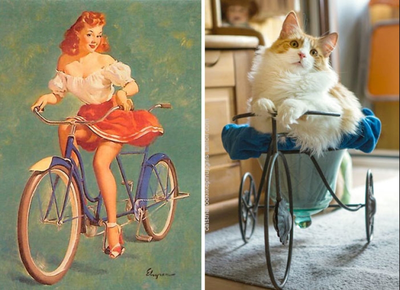 Pin-up Girls vs gatos en la lucha por tu amor