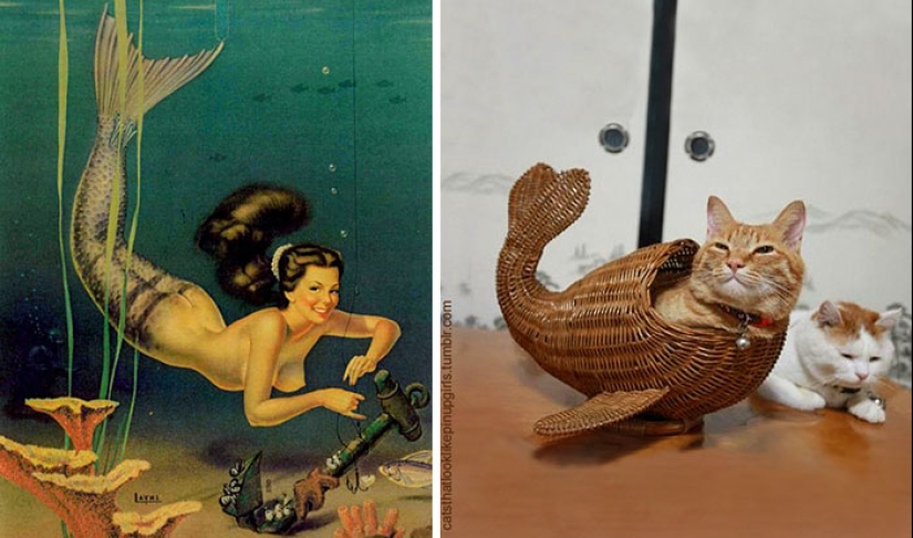 Pin-up Girls vs gatos en la lucha por tu amor