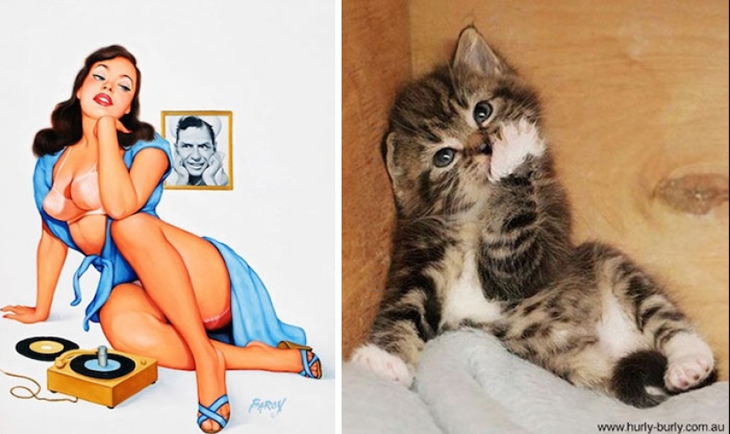 Pin-up Girls vs gatos en la lucha por tu amor