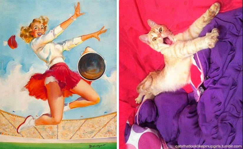 Pin-up Girls vs gatos en la lucha por tu amor