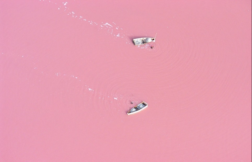 Pink lake in Senegal