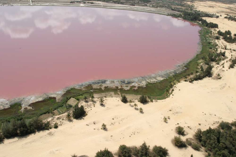Pink lake in Senegal