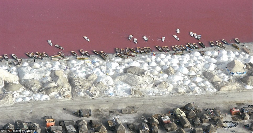 Pink lake in Senegal