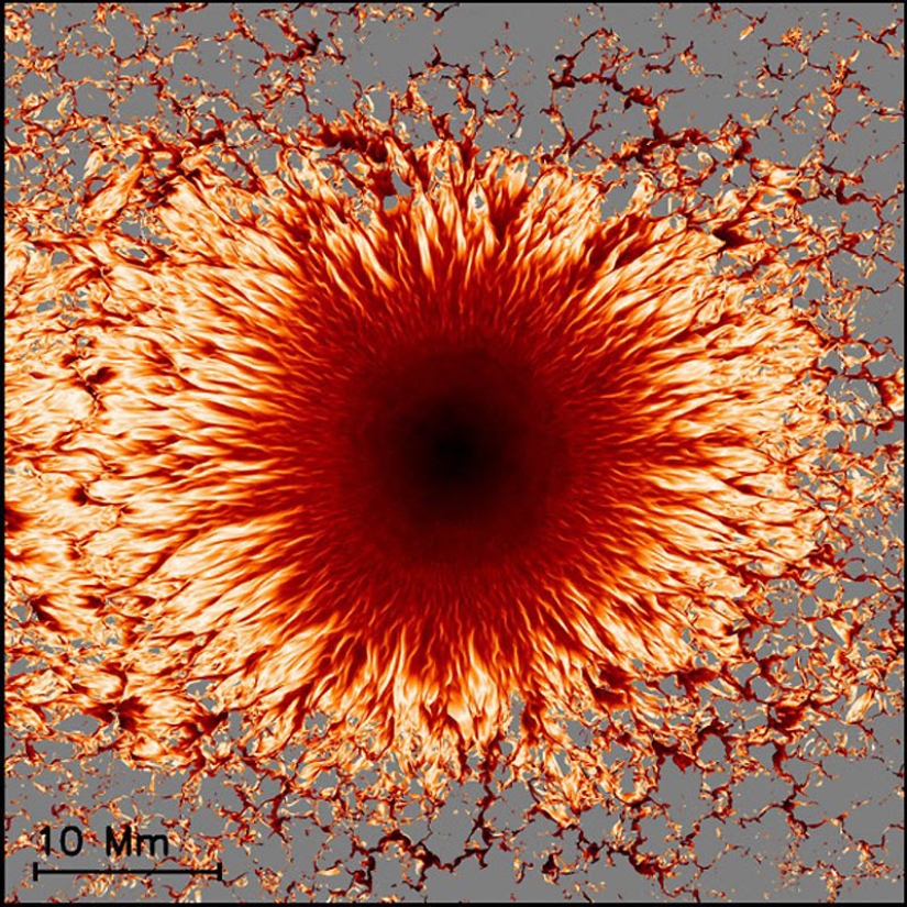 Pinturas psicodélicas creadas por la ciencia Pinturas psicodélicas creadas por la ciencia