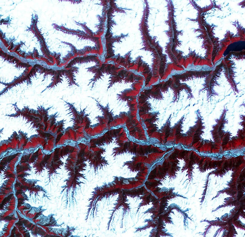 Pinturas psicodélicas creadas por la ciencia Pinturas psicodélicas creadas por la ciencia