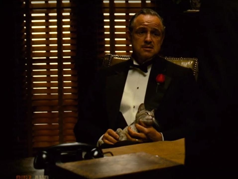 Plan: 13 unexpected acting improvisations that made the movie better Plan: 13 unexpected acting improvisations that made the movie better