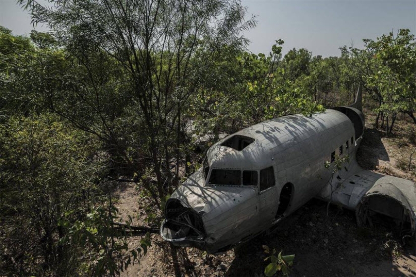 Plane crashes that ended in a happy ending