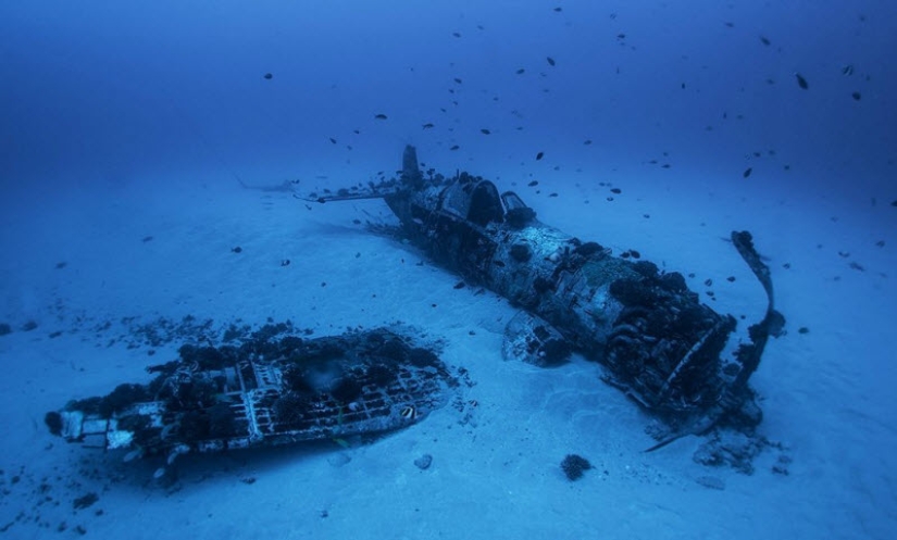 Plane crashes that ended in a happy ending