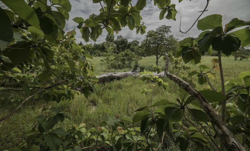 Plane crashes that ended in a happy ending