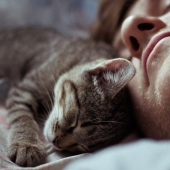 Plantea todo tipo de necesidades, plantea todo tipo de importante: la posición de la cama de mascota dice acerca de su actitud para usted Plantea todo tipo de necesidades, plantea todo tipo de importante: la posición de la cama de mascota dice acerca de su actitud para usted