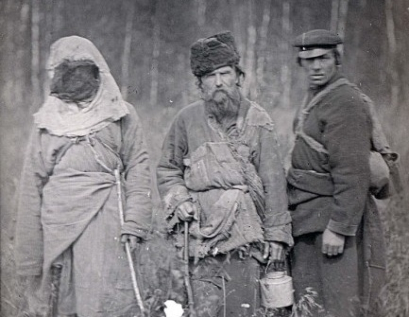 Planting on an anthill — for which Russia relied on a painful execution Planting on an anthill — for which Russia relied on a painful execution