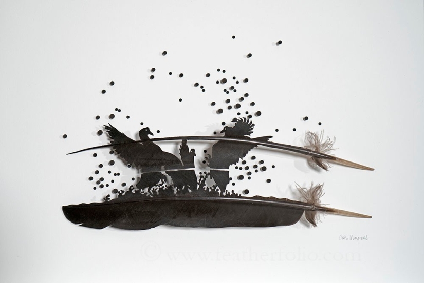 Plumas como arte