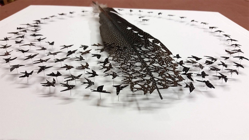 Plumas como arte