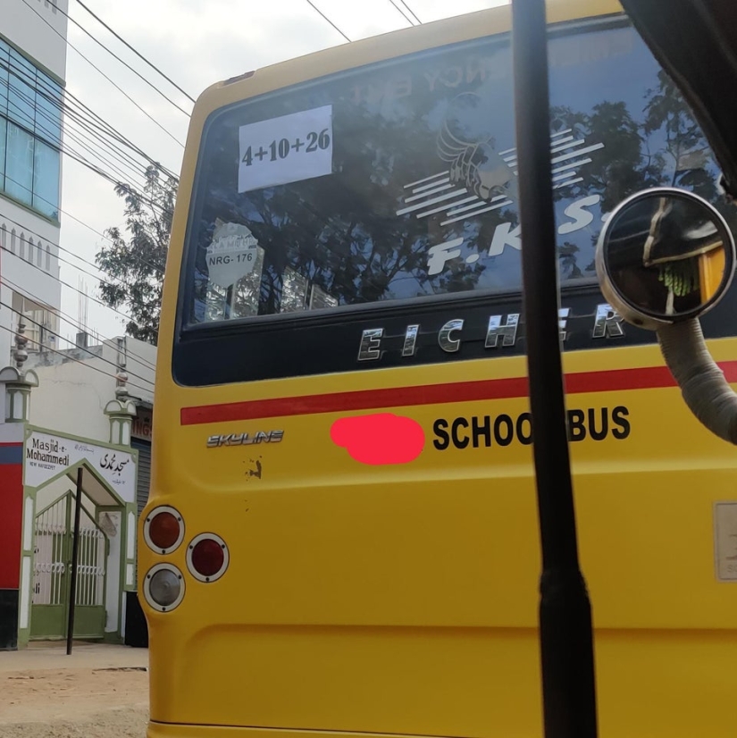 Plush pneumococcus and 22 other curiosities that few people have seen