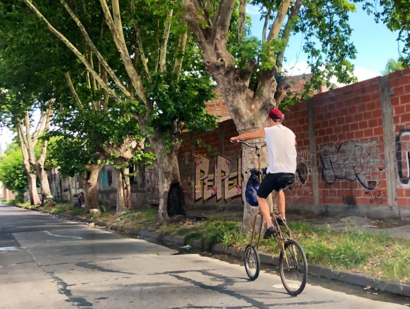 Plush pneumococcus and 22 other curiosities that few people have seen