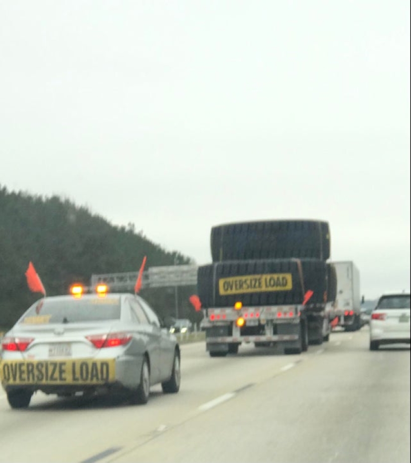 Plush pneumococcus and 22 other curiosities that few people have seen